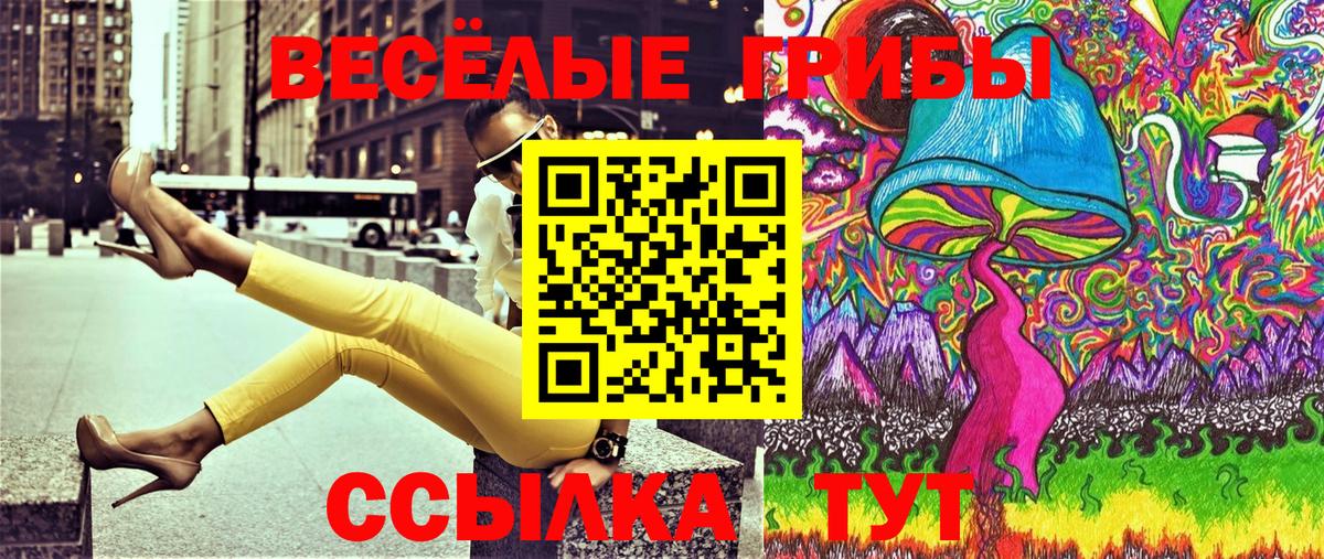 Псилоцибиновые грибы GOLDEN TEACHER  купить закладку  Казань  Вход с VPN  Галлюциногенные грибы прущие грибы 